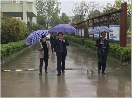 【校园动态】长丰县委统战部领导莅临合肥腾飞学校调研指导工作 【校园动态】长丰县委统战部领导莅临合肥腾飞学校调研指导工作